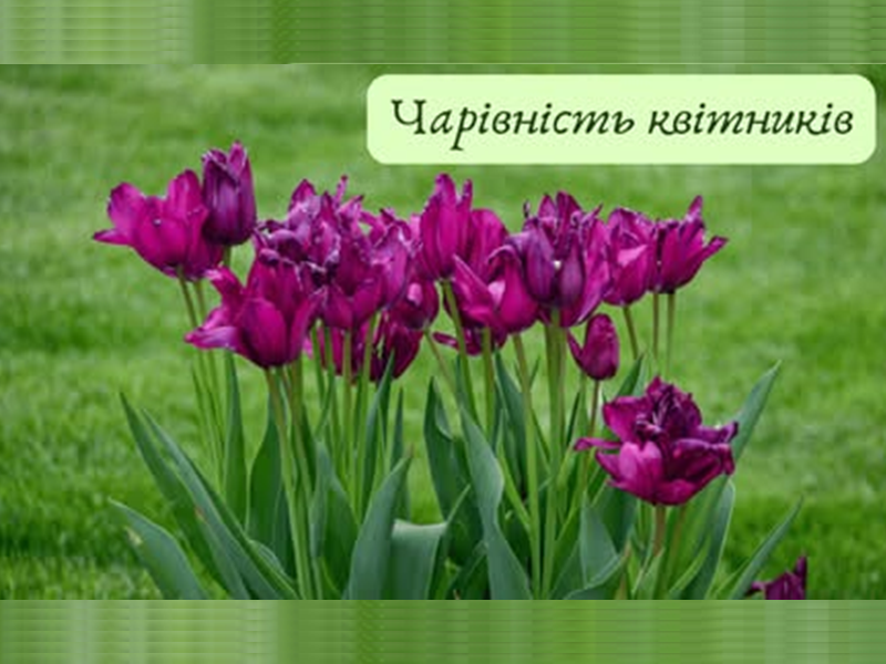 Віртуальні виставки