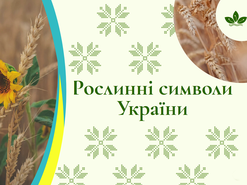 Віртуальні виставки