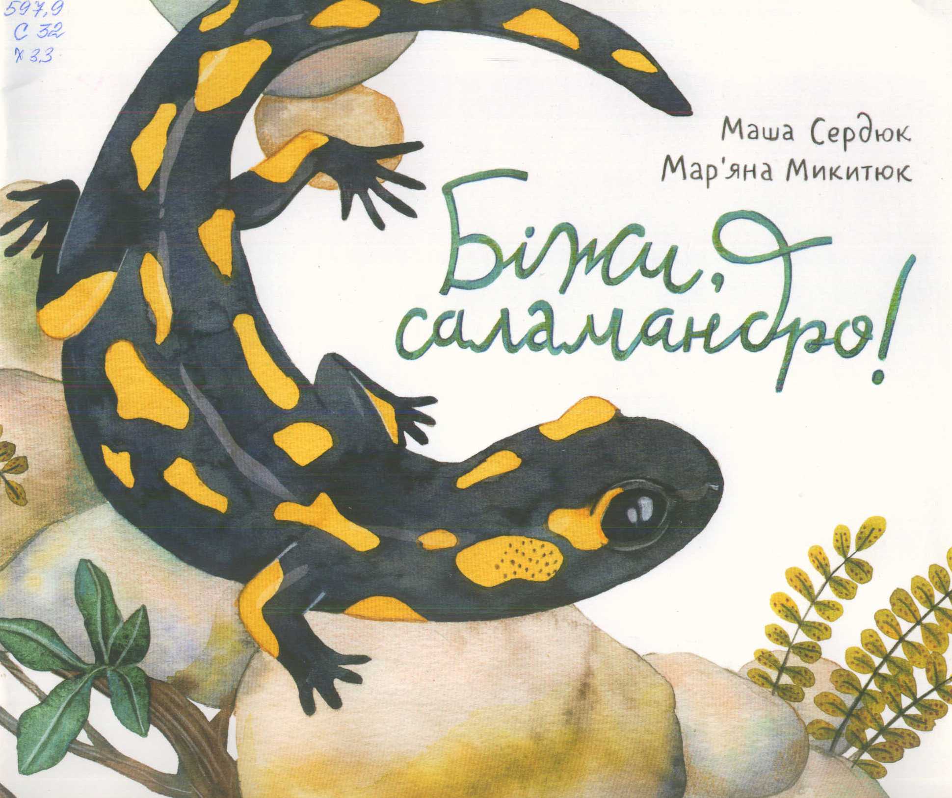 Краєзнавча книга