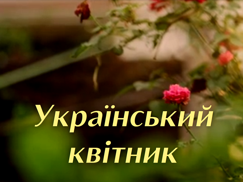 Віртуальні виставки